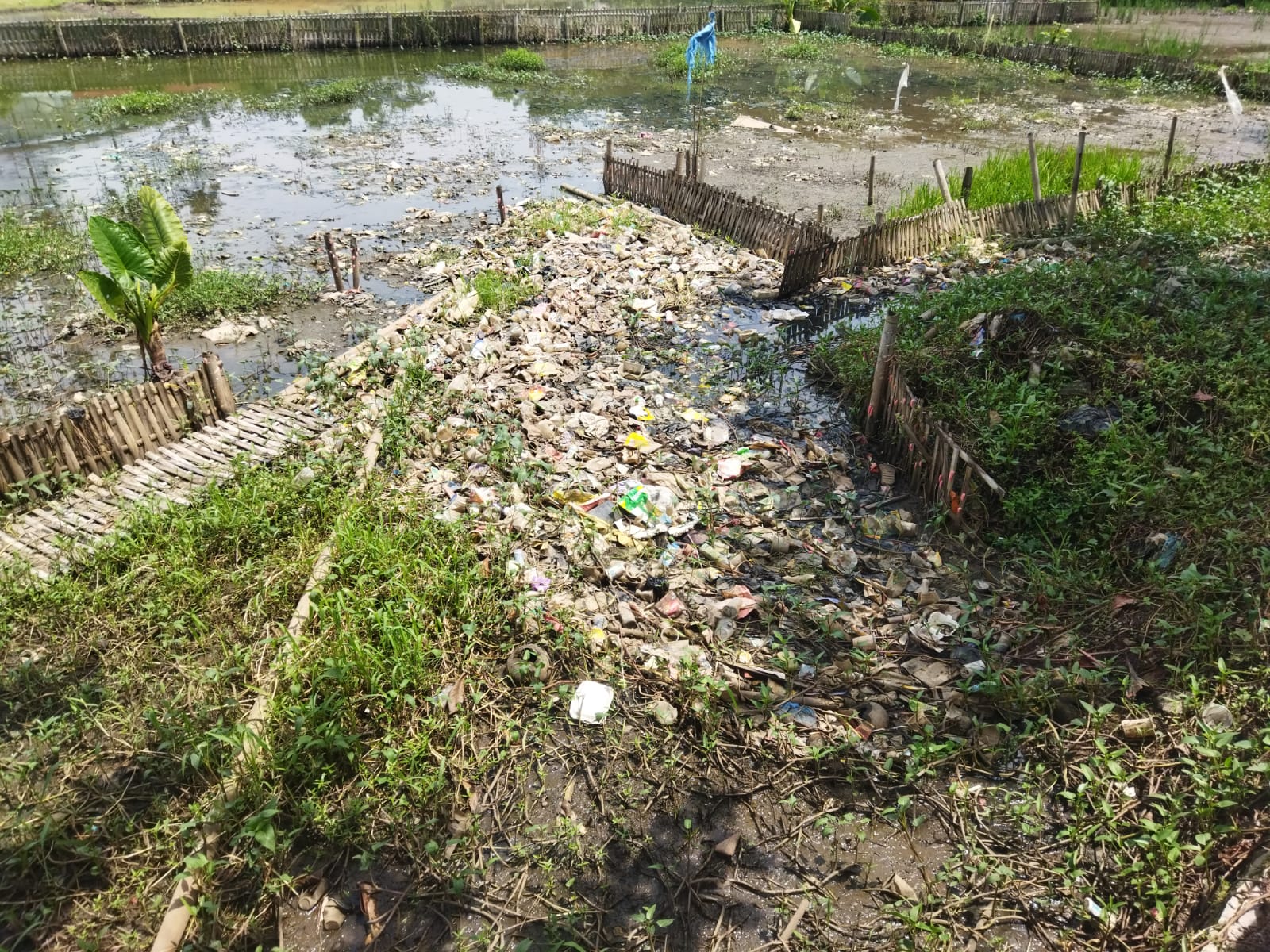 sampah telU